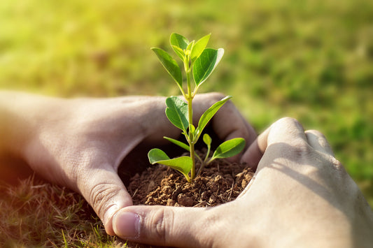 Small Steps, Giant Leaps: The Power of Starting Small When Building Habits